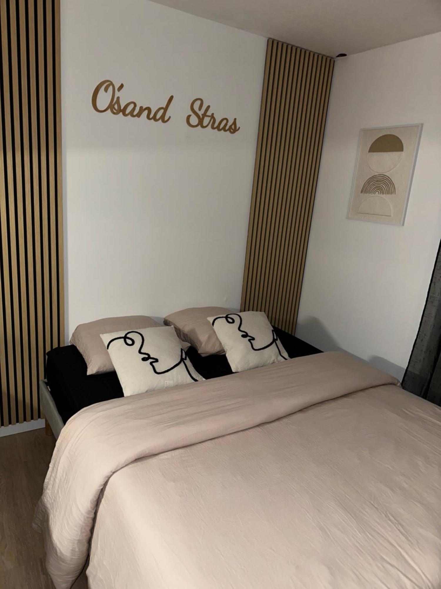 O Sand Stras Studio 25M Carre Strasbourg Exterior photo
