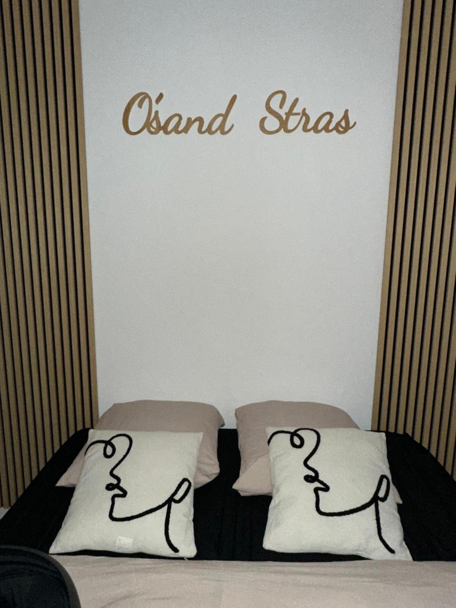 O Sand Stras Studio 25M Carre Strasbourg Exterior photo